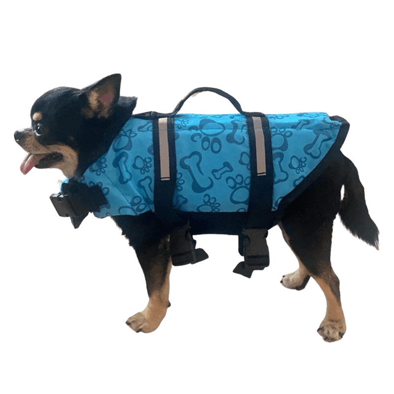 Dog swimming sale aid