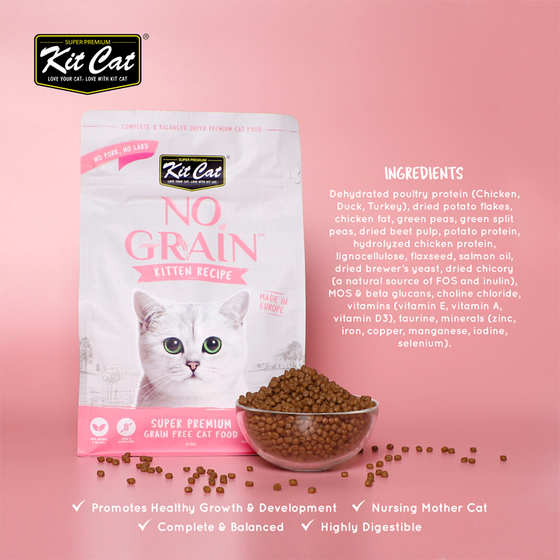 Kit Cat No Grain Dry Cat Food Kitten