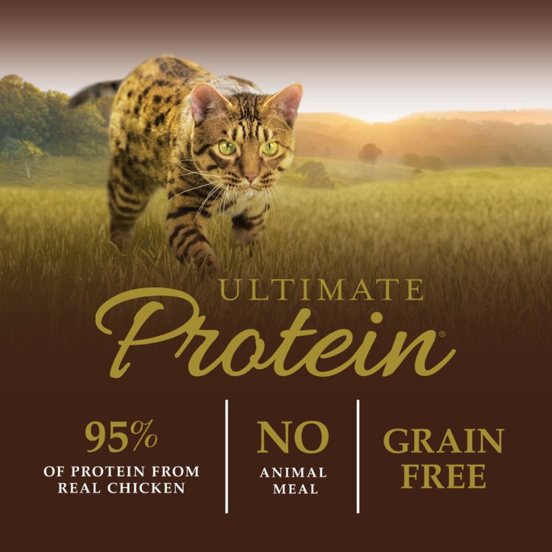 Instinct Ultimate Protein Kibble Recipe with Real Chicken Dry Cat - 4lb