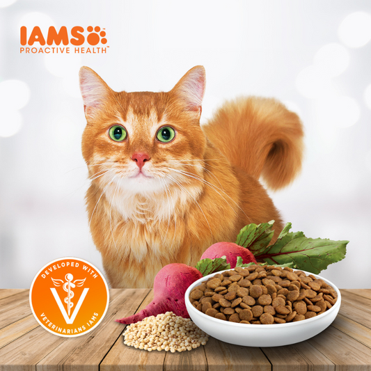 IAMS Cat Proactive Health Adult Tuna & Salmon